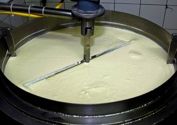 El yogurt es un ejemplo de leche fermentada por bacterias en el que las proteínas de la leche cuajan debido a la disminución de pH.
