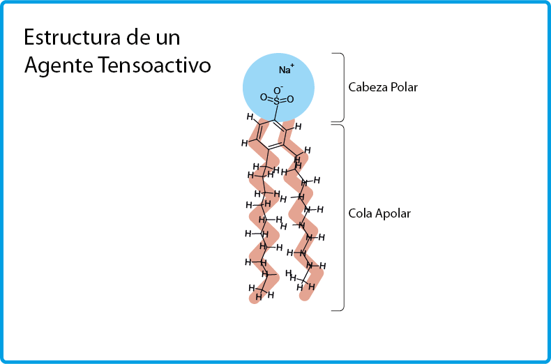 estructura de un agente tensioactivo