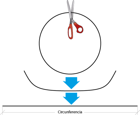 La circunferencia de un círculo