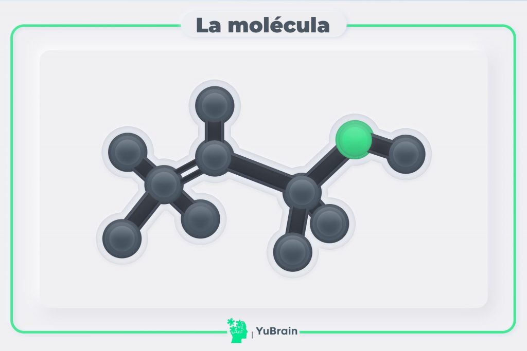 Molécula
