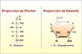 Proyecciones de la glucosa
