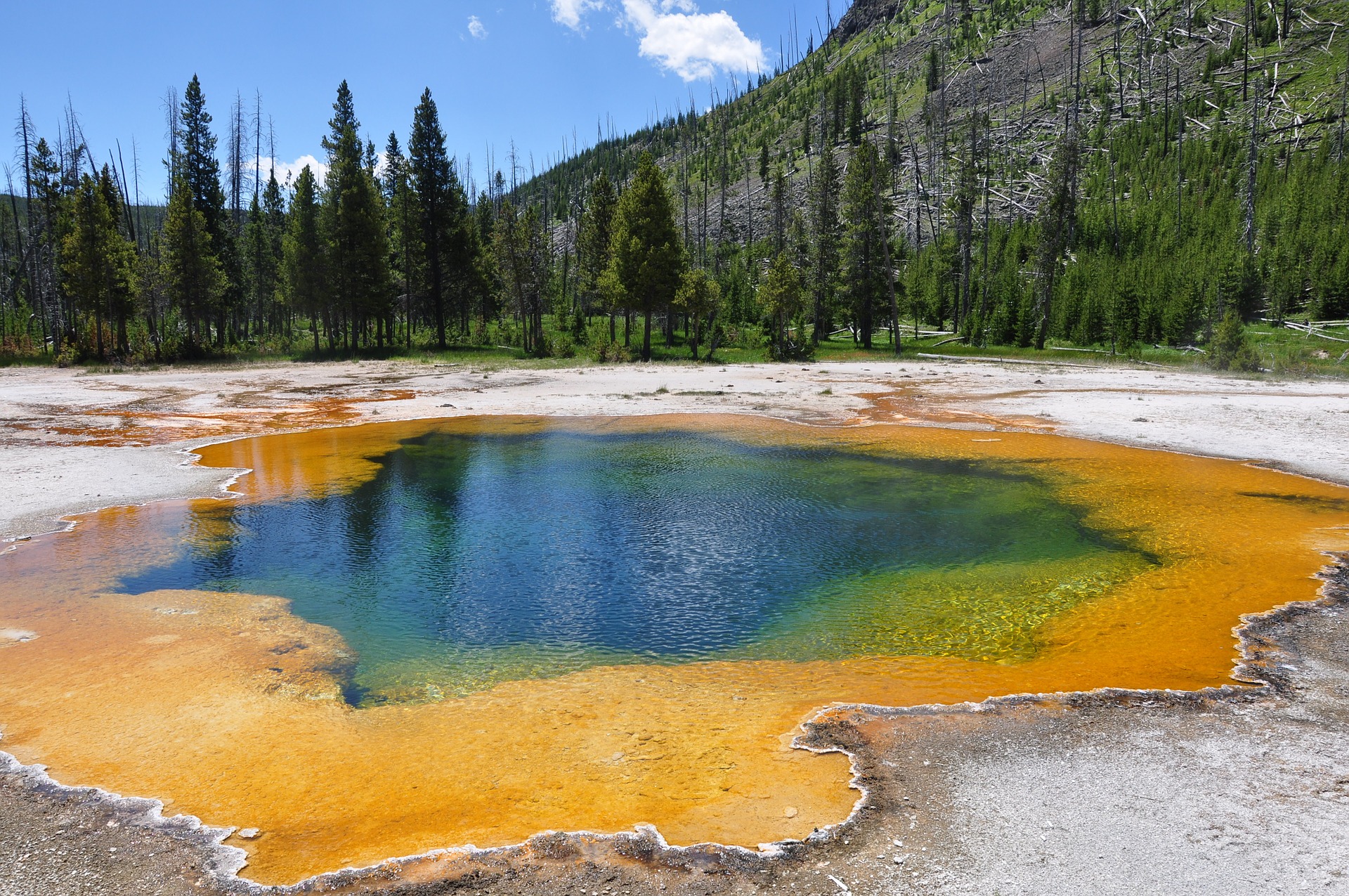 Géiser, Parque Nacional Yellowstone. 