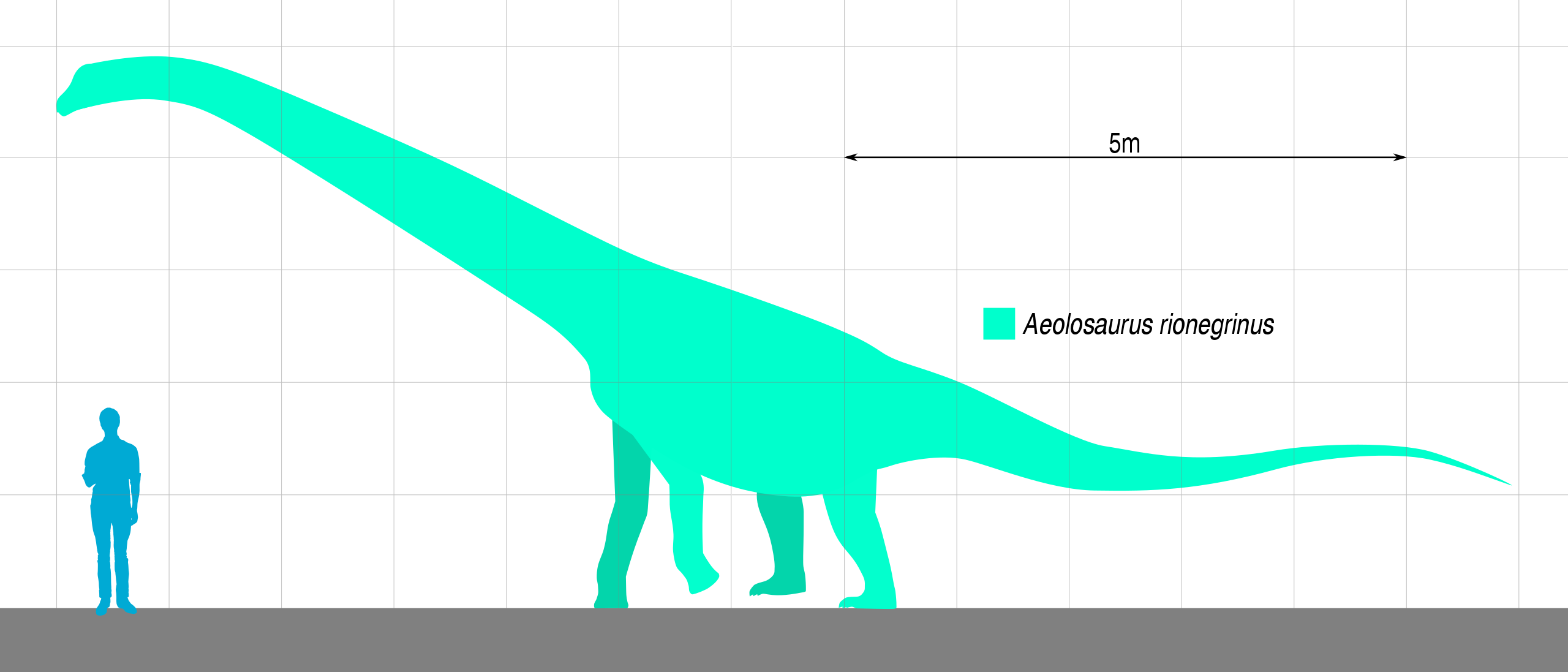 Escala de un humano versus un Aeolosaurus.