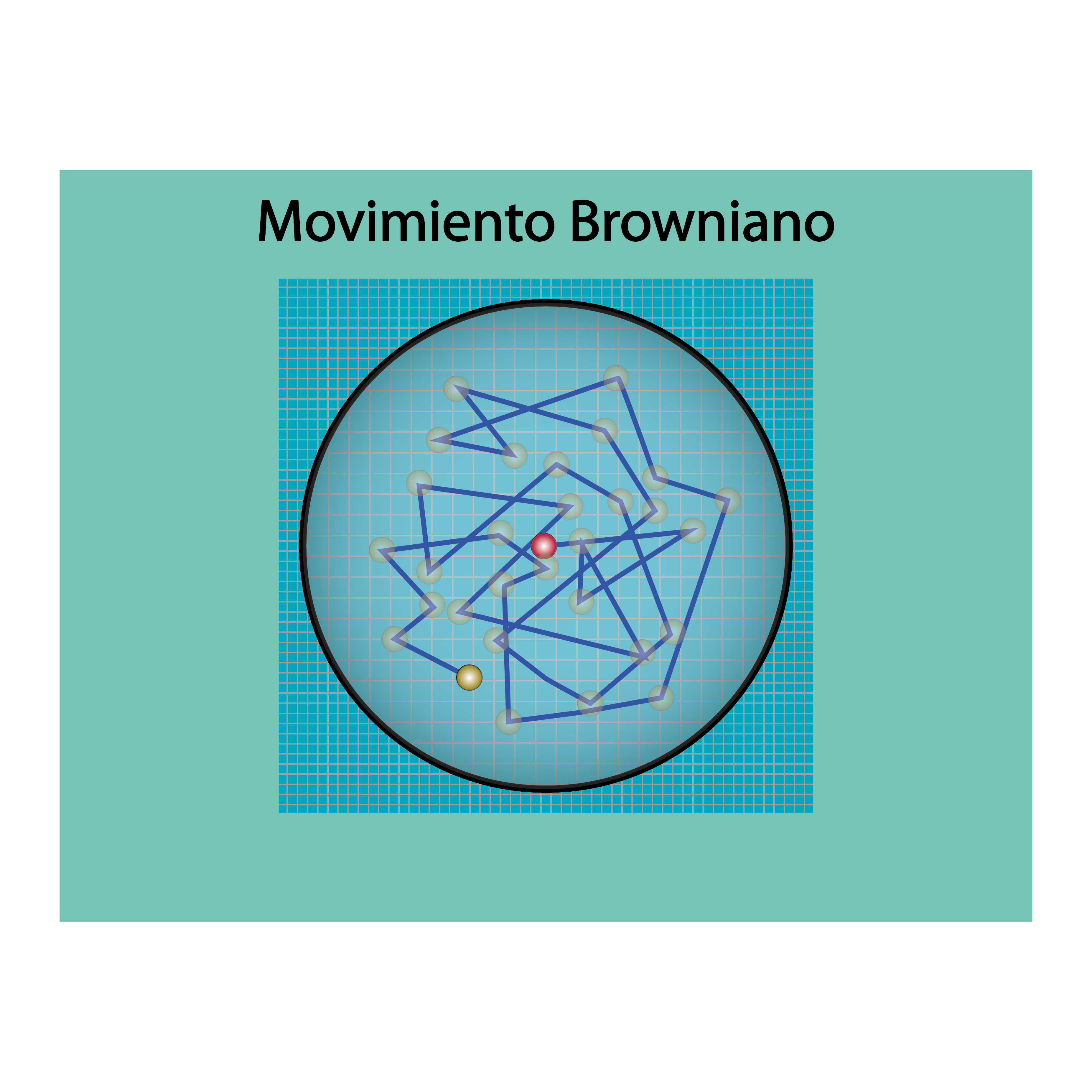 Qué es el movimiento browniano aleatorio y qué hace - YuBrain